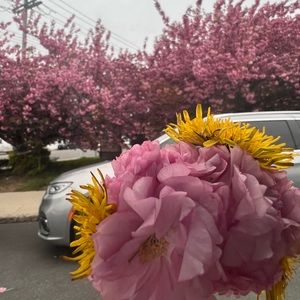 Meet your Posher, Unicornsparklez123